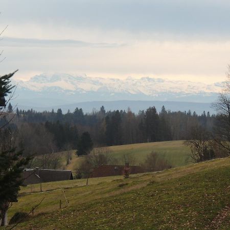 Haus Ingeborg Apartment Dachsberg im Schwarzwald Екстериор снимка
