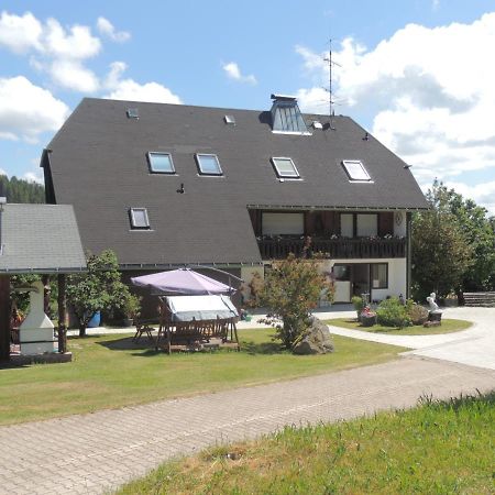 Haus Ingeborg Apartment Dachsberg im Schwarzwald Екстериор снимка