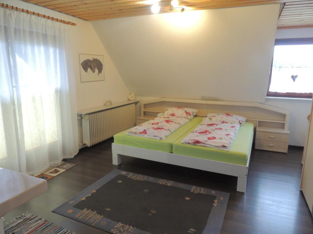 Haus Ingeborg Apartment Dachsberg im Schwarzwald Екстериор снимка