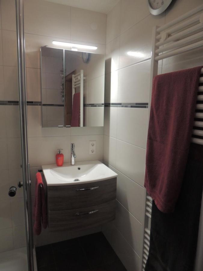 Haus Ingeborg Apartment Dachsberg im Schwarzwald Екстериор снимка
