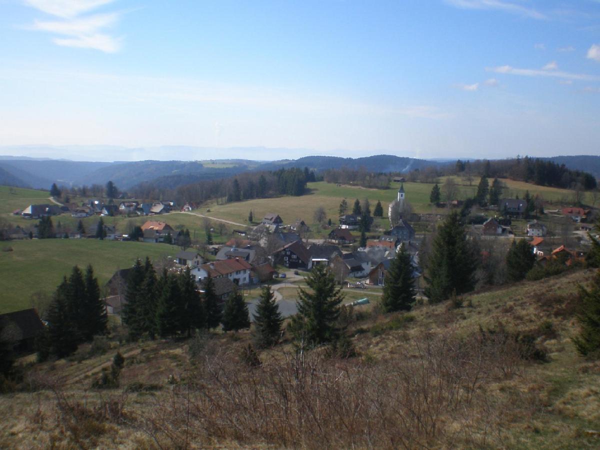 Haus Ingeborg Apartment Dachsberg im Schwarzwald Екстериор снимка