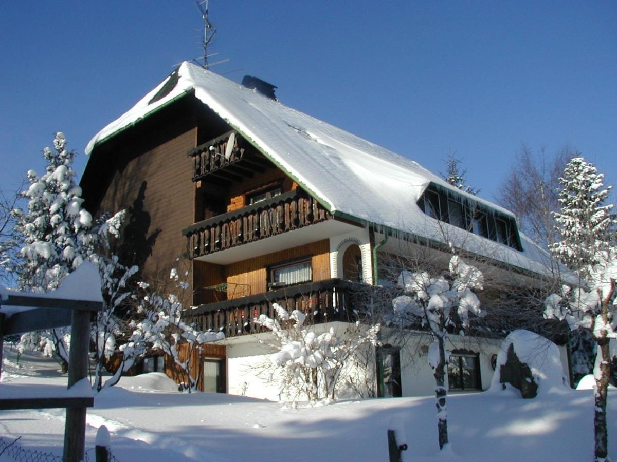 Haus Ingeborg Apartment Dachsberg im Schwarzwald Екстериор снимка