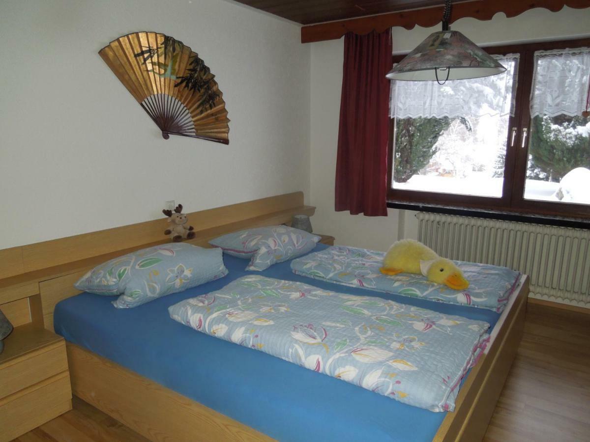 Haus Ingeborg Apartment Dachsberg im Schwarzwald Екстериор снимка