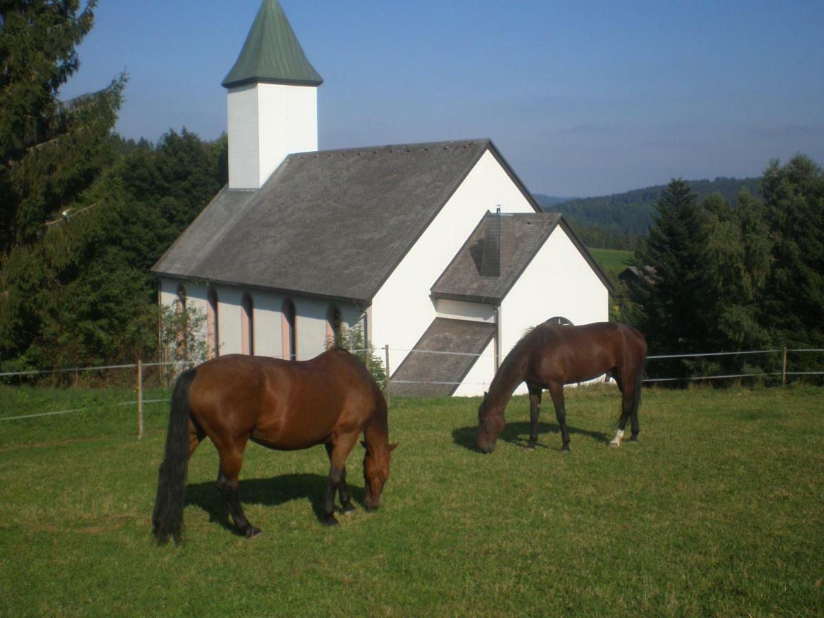 Haus Ingeborg Apartment Dachsberg im Schwarzwald Екстериор снимка