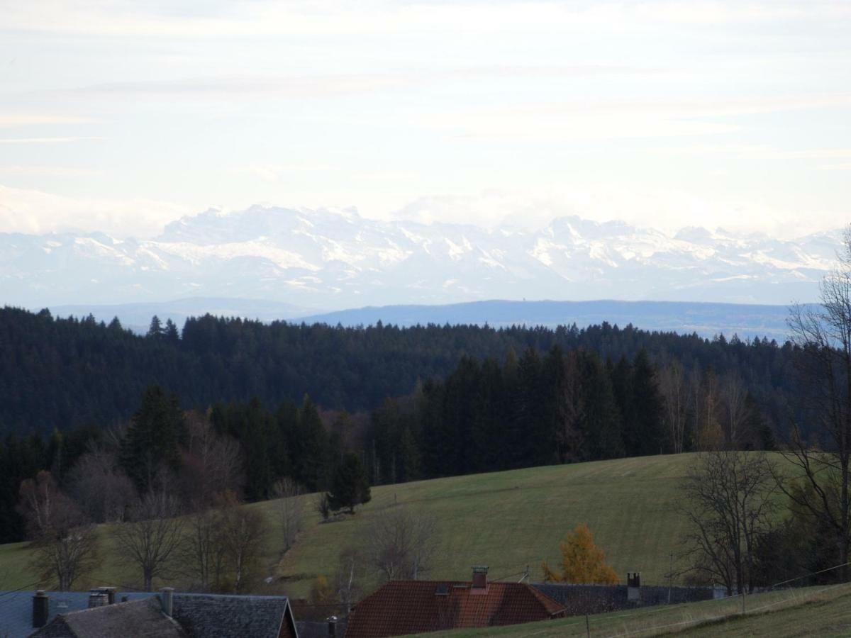 Haus Ingeborg Apartment Dachsberg im Schwarzwald Екстериор снимка