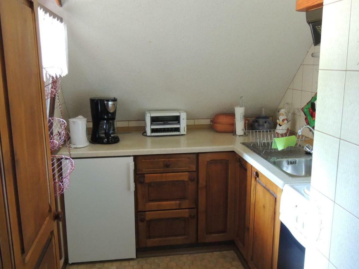 Haus Ingeborg Apartment Dachsberg im Schwarzwald Екстериор снимка