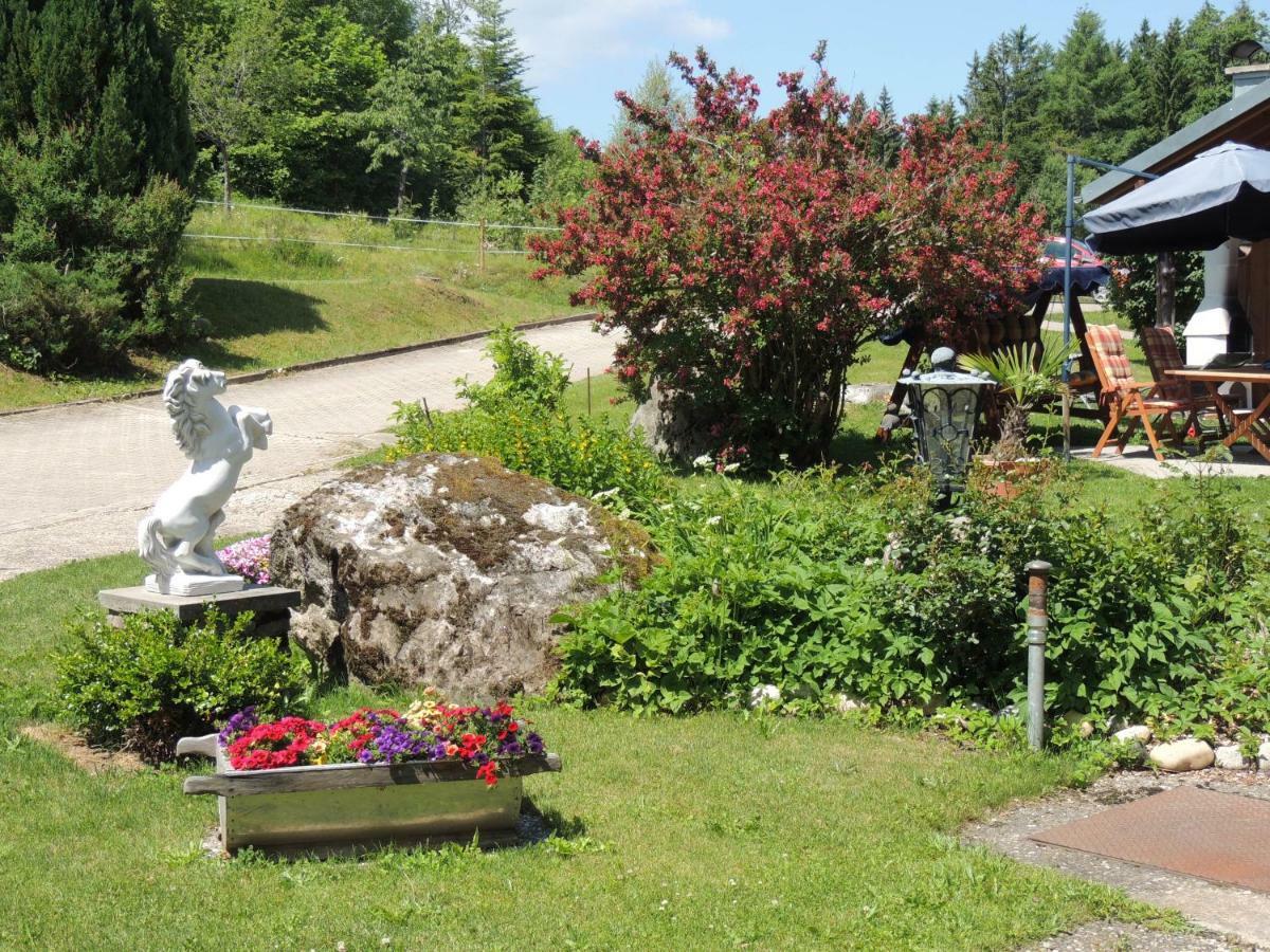 Haus Ingeborg Apartment Dachsberg im Schwarzwald Екстериор снимка